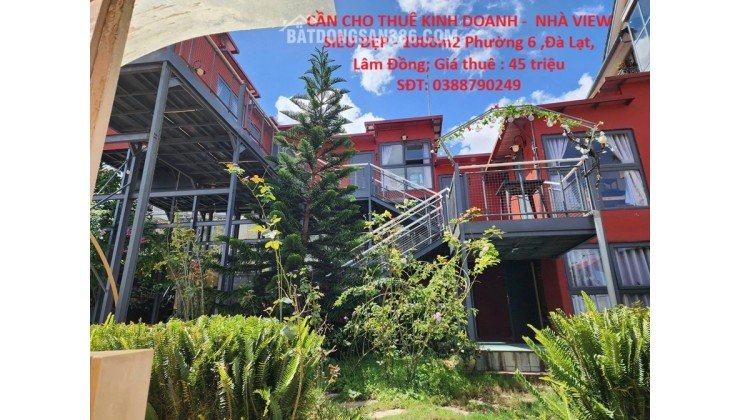 CẦN CHO THUÊ KINH DOANH -  NHÀ VIEW SIÊU ĐẸP - 1000m2 Phường 6 ,Đà Lạt, Lâm Đồng